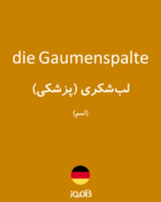  تصویر die Gaumenspalte - دیکشنری انگلیسی بیاموز