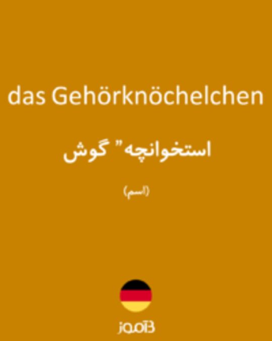  تصویر das Gehörknöchelchen - دیکشنری انگلیسی بیاموز