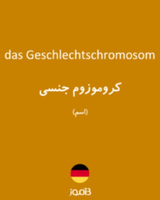  تصویر das Geschlechtschromosom - دیکشنری انگلیسی بیاموز