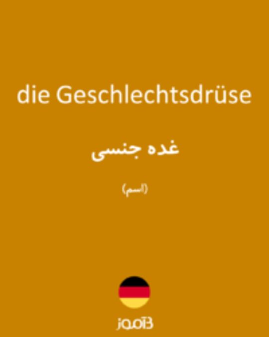  تصویر die Geschlechtsdrüse - دیکشنری انگلیسی بیاموز