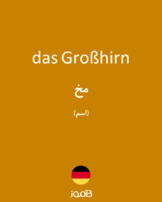  تصویر das Großhirn - دیکشنری انگلیسی بیاموز