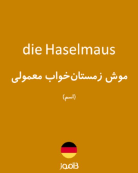  تصویر die Haselmaus - دیکشنری انگلیسی بیاموز