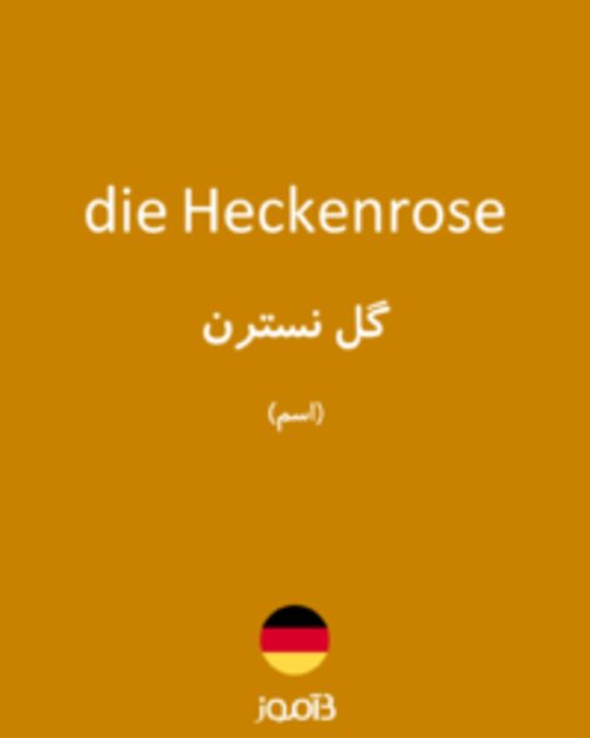  تصویر die Heckenrose - دیکشنری انگلیسی بیاموز