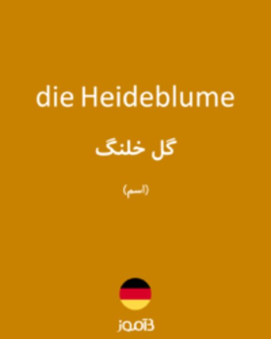  تصویر die Heideblume - دیکشنری انگلیسی بیاموز