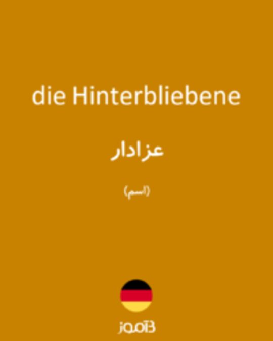  تصویر die Hinterbliebene - دیکشنری انگلیسی بیاموز