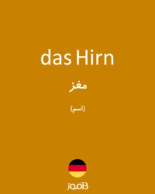  تصویر das Hirn - دیکشنری انگلیسی بیاموز