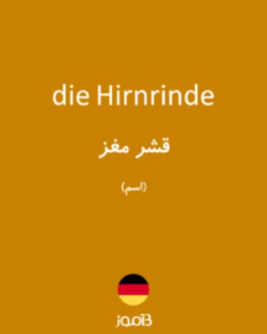  تصویر die Hirnrinde - دیکشنری انگلیسی بیاموز