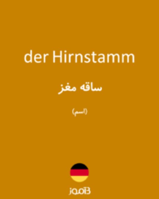  تصویر der Hirnstamm - دیکشنری انگلیسی بیاموز