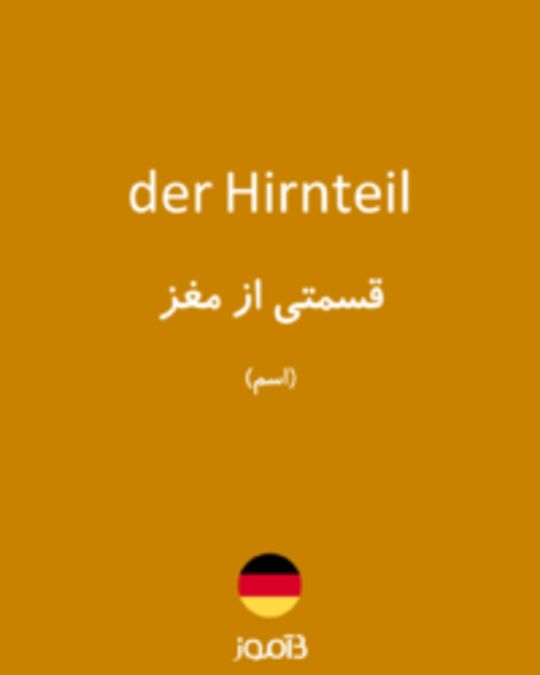  تصویر der Hirnteil - دیکشنری انگلیسی بیاموز