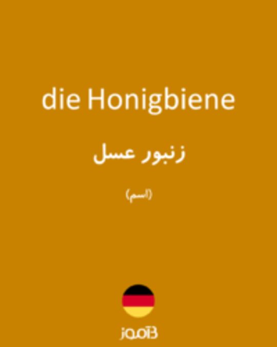  تصویر die Honigbiene - دیکشنری انگلیسی بیاموز