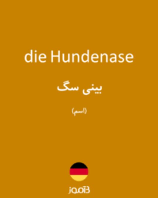  تصویر die Hundenase - دیکشنری انگلیسی بیاموز