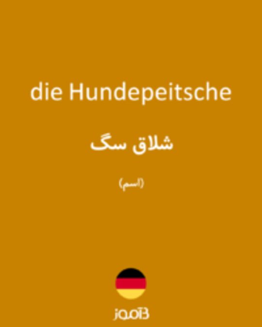  تصویر die Hundepeitsche - دیکشنری انگلیسی بیاموز