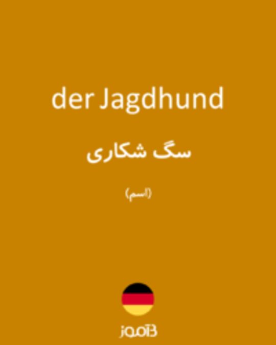  تصویر der Jagdhund - دیکشنری انگلیسی بیاموز