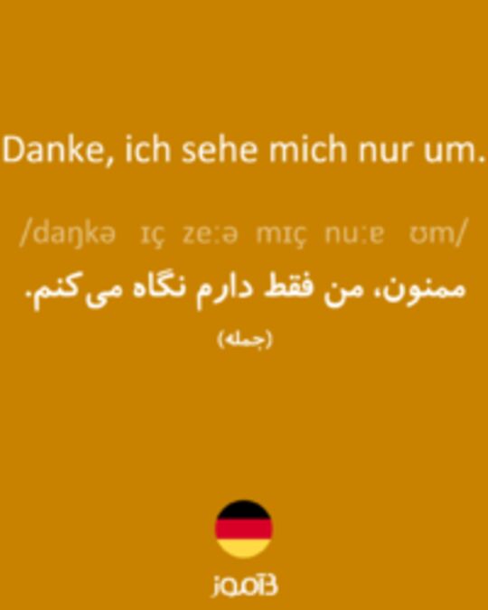  تصویر Danke, ich sehe mich nur um. - دیکشنری انگلیسی بیاموز