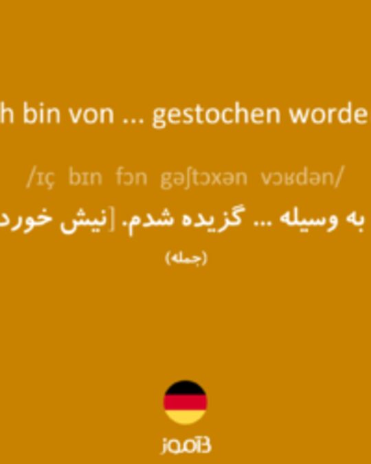  تصویر Ich bin von ... gestochen worden. - دیکشنری انگلیسی بیاموز