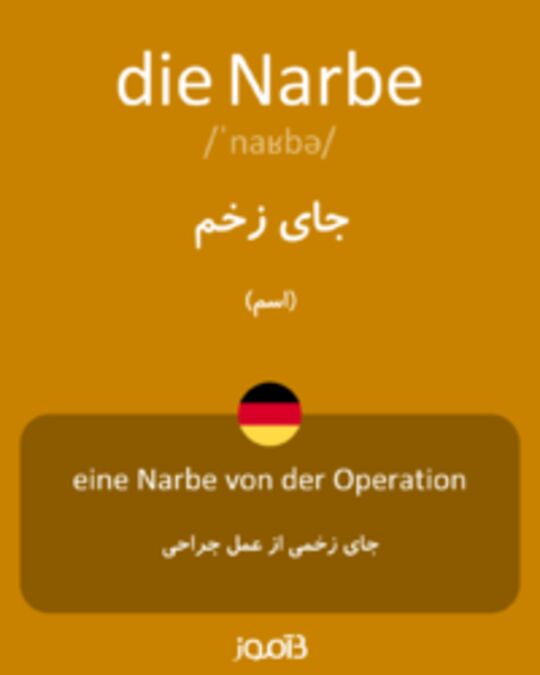  تصویر die Narbe - دیکشنری انگلیسی بیاموز