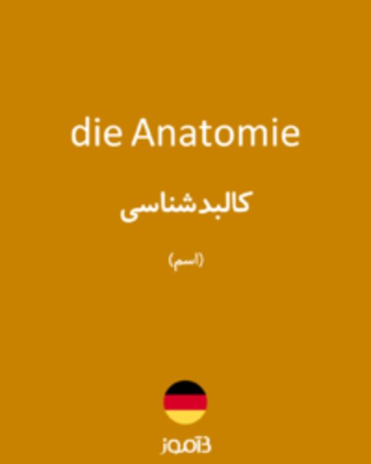  تصویر die Anatomie - دیکشنری انگلیسی بیاموز