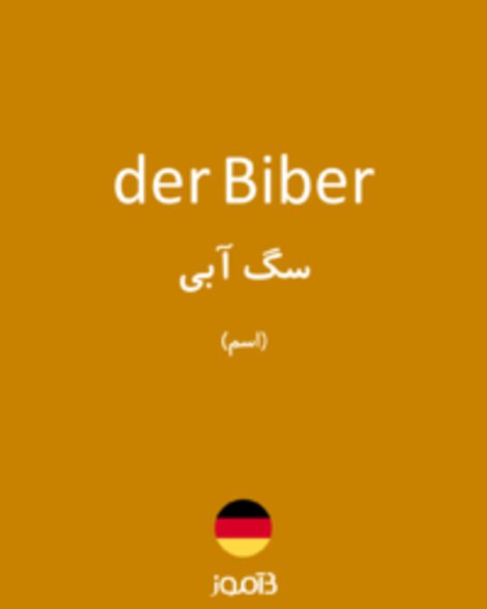  تصویر der Biber - دیکشنری انگلیسی بیاموز