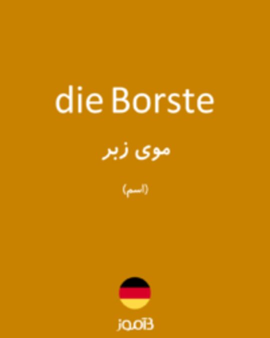  تصویر die Borste - دیکشنری انگلیسی بیاموز