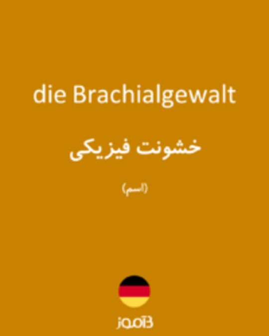  تصویر die Brachialgewalt - دیکشنری انگلیسی بیاموز