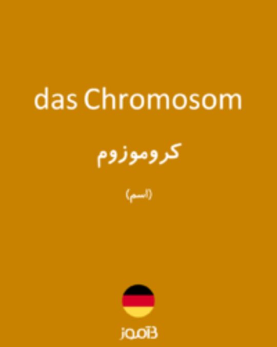  تصویر das Chromosom - دیکشنری انگلیسی بیاموز