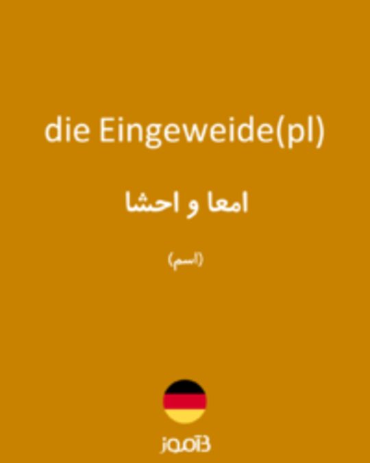  تصویر die Eingeweide(pl) - دیکشنری انگلیسی بیاموز