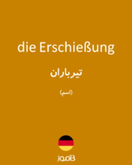  تصویر die Erschießung - دیکشنری انگلیسی بیاموز