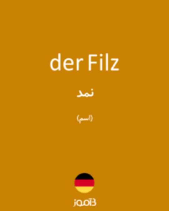  تصویر der Filz - دیکشنری انگلیسی بیاموز