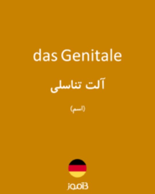  تصویر das Genitale - دیکشنری انگلیسی بیاموز