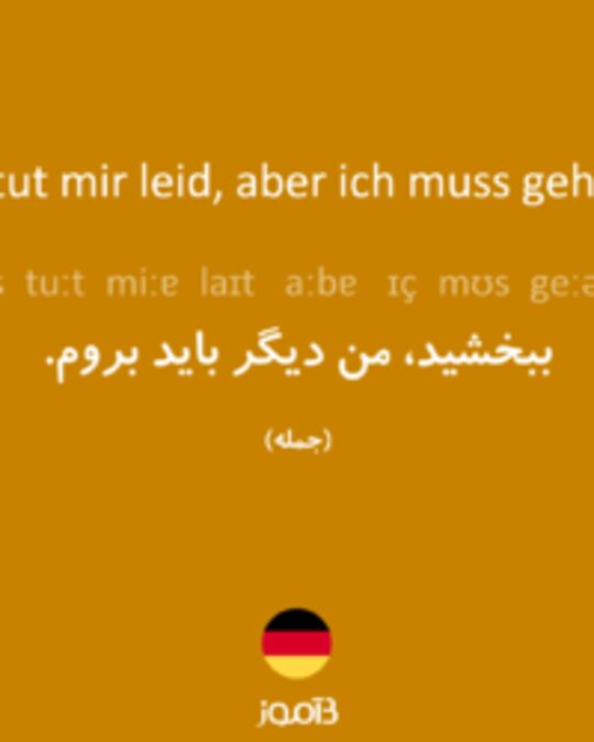  تصویر Es tut mir leid, aber ich muss gehen. - دیکشنری انگلیسی بیاموز