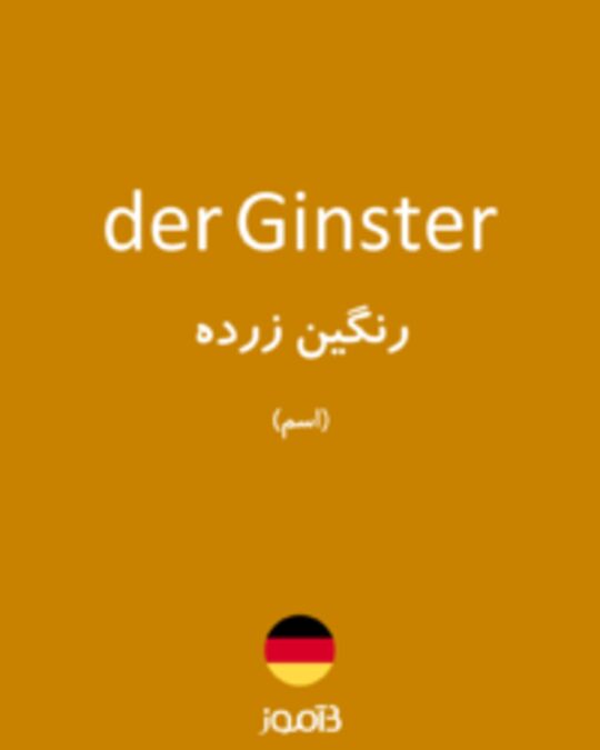  تصویر der Ginster - دیکشنری انگلیسی بیاموز