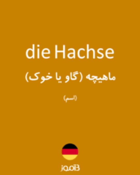  تصویر die Hachse - دیکشنری انگلیسی بیاموز