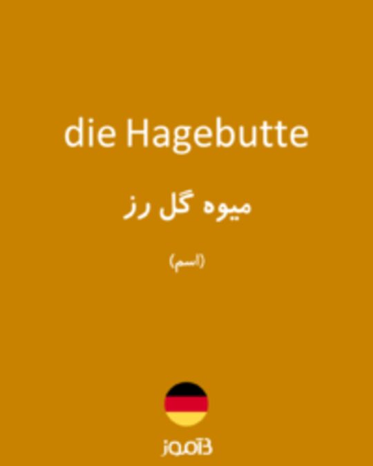  تصویر die Hagebutte - دیکشنری انگلیسی بیاموز