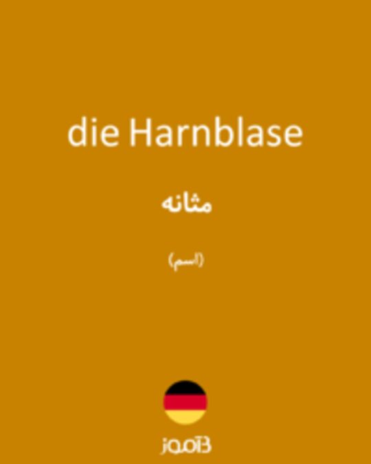  تصویر die Harnblase - دیکشنری انگلیسی بیاموز