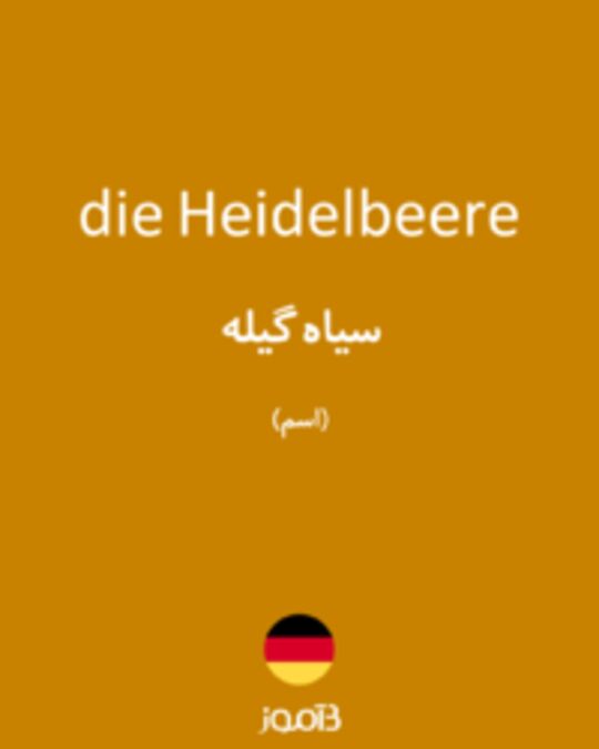  تصویر die Heidelbeere - دیکشنری انگلیسی بیاموز