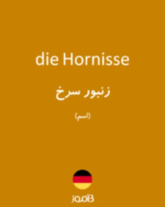  تصویر die Hornisse - دیکشنری انگلیسی بیاموز