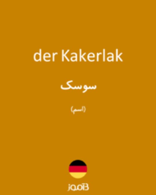  تصویر der Kakerlak - دیکشنری انگلیسی بیاموز