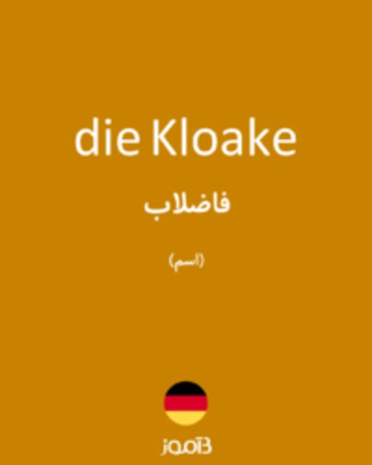  تصویر die Kloake - دیکشنری انگلیسی بیاموز