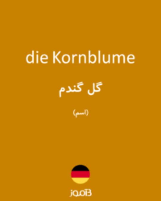  تصویر die Kornblume - دیکشنری انگلیسی بیاموز