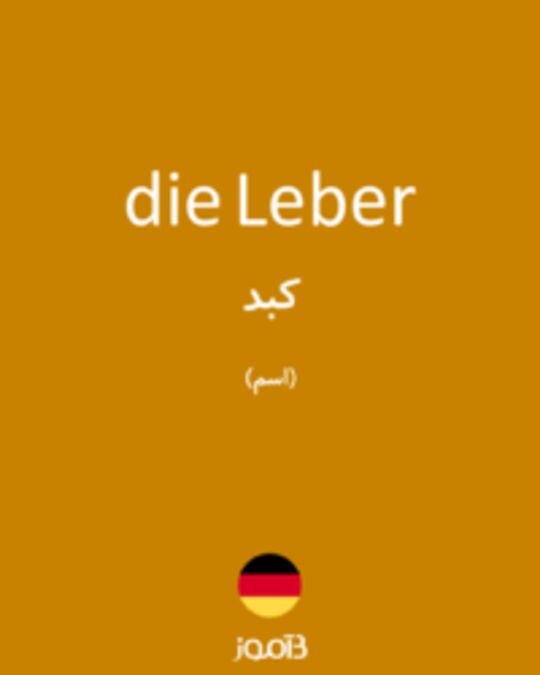  تصویر die Leber - دیکشنری انگلیسی بیاموز