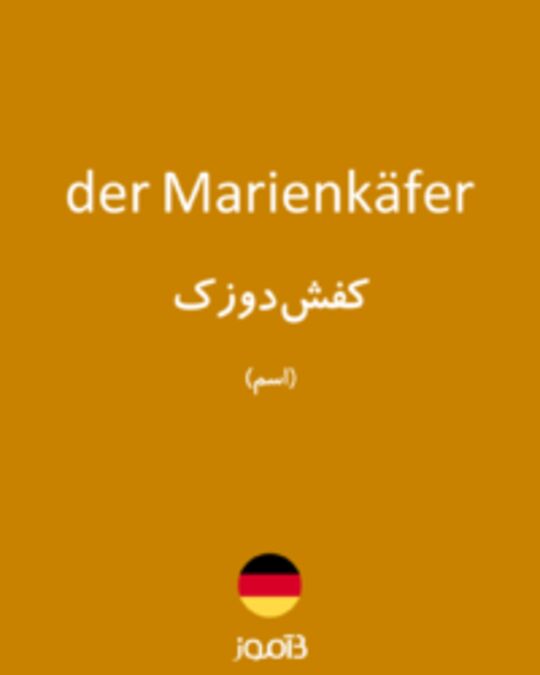  تصویر der Marienkäfer - دیکشنری انگلیسی بیاموز