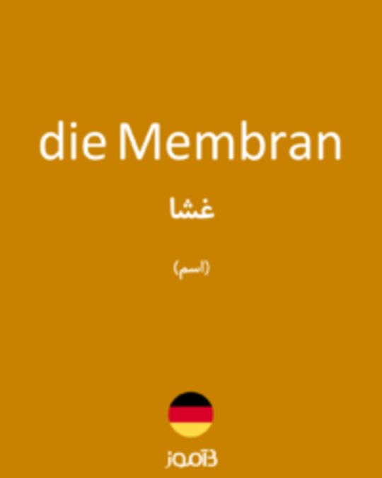  تصویر die Membran - دیکشنری انگلیسی بیاموز