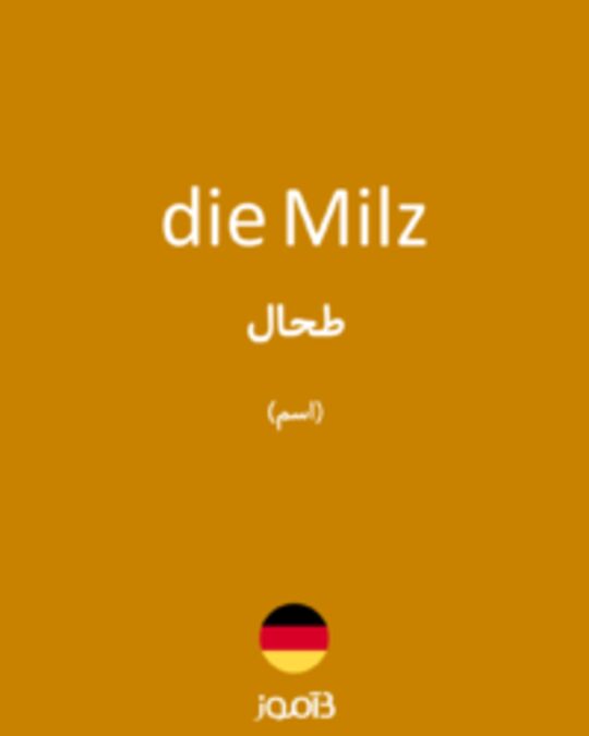  تصویر die Milz - دیکشنری انگلیسی بیاموز