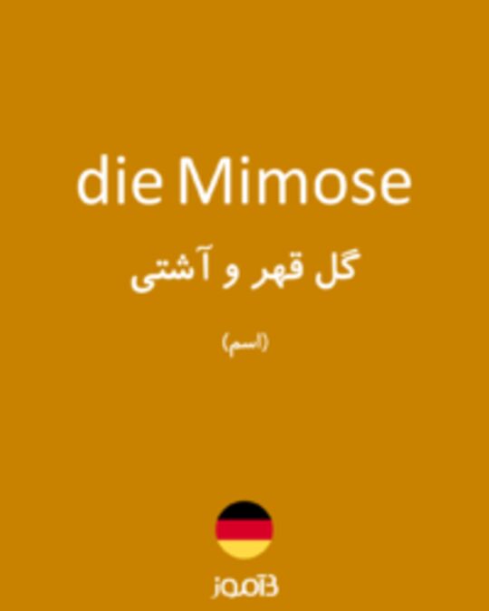  تصویر die Mimose - دیکشنری انگلیسی بیاموز