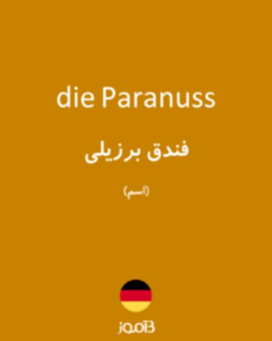  تصویر die Paranuss - دیکشنری انگلیسی بیاموز