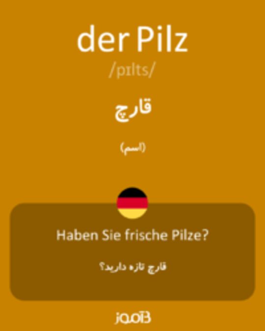  تصویر der Pilz - دیکشنری انگلیسی بیاموز