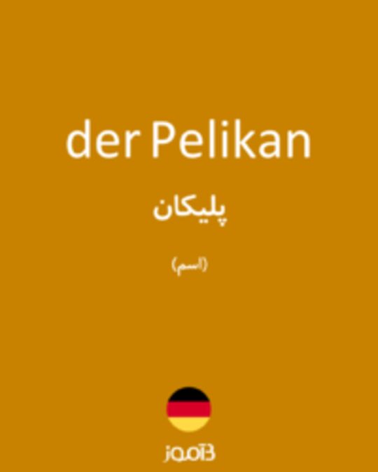  تصویر der Pelikan - دیکشنری انگلیسی بیاموز