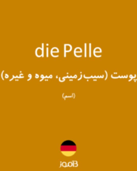  تصویر die Pelle - دیکشنری انگلیسی بیاموز