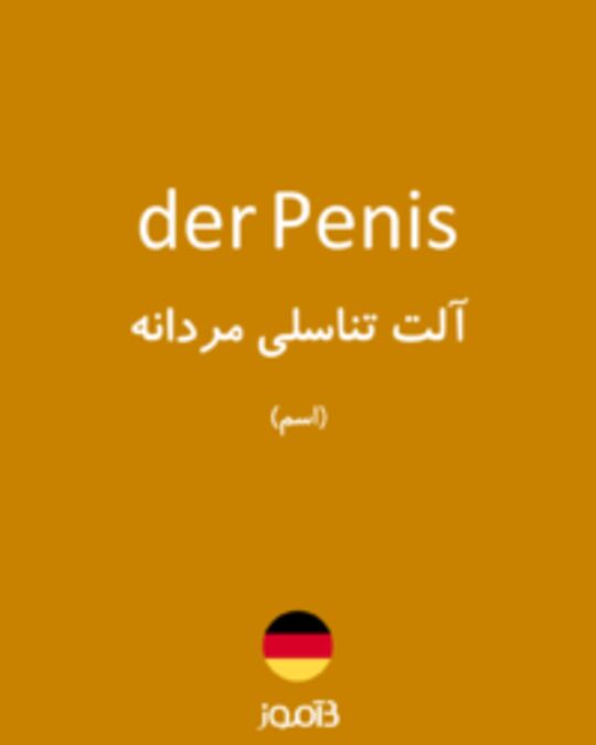  تصویر der Penis - دیکشنری انگلیسی بیاموز