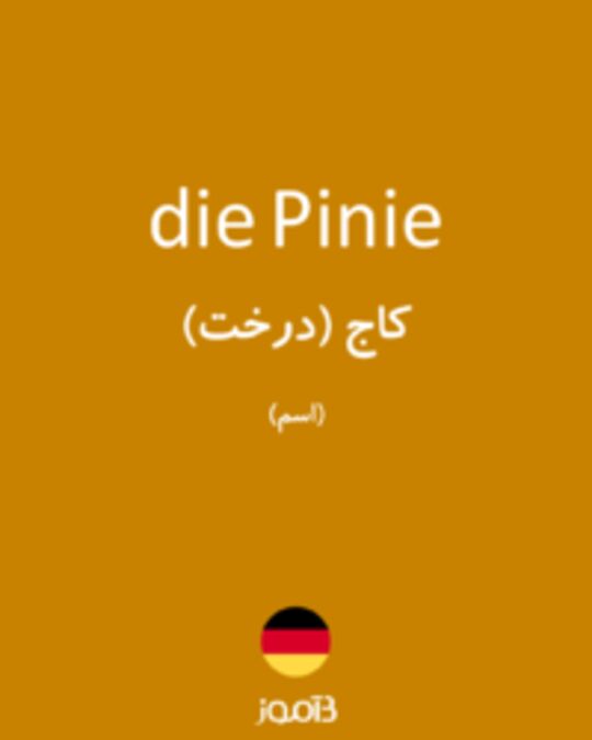  تصویر die Pinie - دیکشنری انگلیسی بیاموز